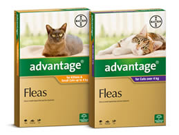 Advantage_Cat_Range_259x235.jpg