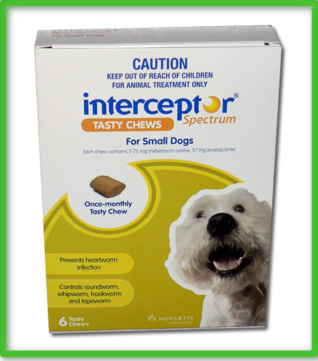 heartworm interceptor spectrum dogs interceptor spectrum chews small dogs 4 11 kg 11 25 lbs 6 month pack heartworm interceptor spectrum dogs interceptor spectrum chews small dogs 4 11 kg 11 25 lbs 6 month pack