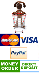 visa, paypal, mastercard, bank deposit, money order