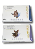 Revolution Flea Treatment for Dogs and Cats