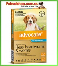 Advocate for Small Dogs Aqua 3 Pack