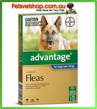 Advantage Blue Large Dogs 6 Month Pack