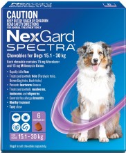 Nexgard Spectra Purple