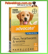Advocate for Large Dogs Blue 3 Pack