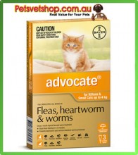 Advocate for Small Cats Orange 3 Pack