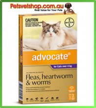 Advocate for Large Cats Purple 3 Pack
