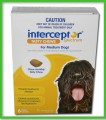 Interceptor Spectrum Chews - Medium Dogs 11 - 22 kg (26-50 lbs) 6 Month Pack