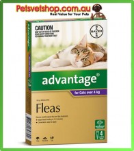 Advantage Purple Large Cats 4 Month Pack