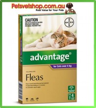 Advantage Purple Large Cats 4 Month Pack