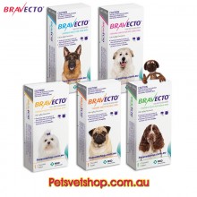 Bravecto for All Size Dogs