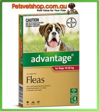 Advantage Red Medium Dogs 4 Month Pack